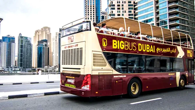 big_bus_sightseeing